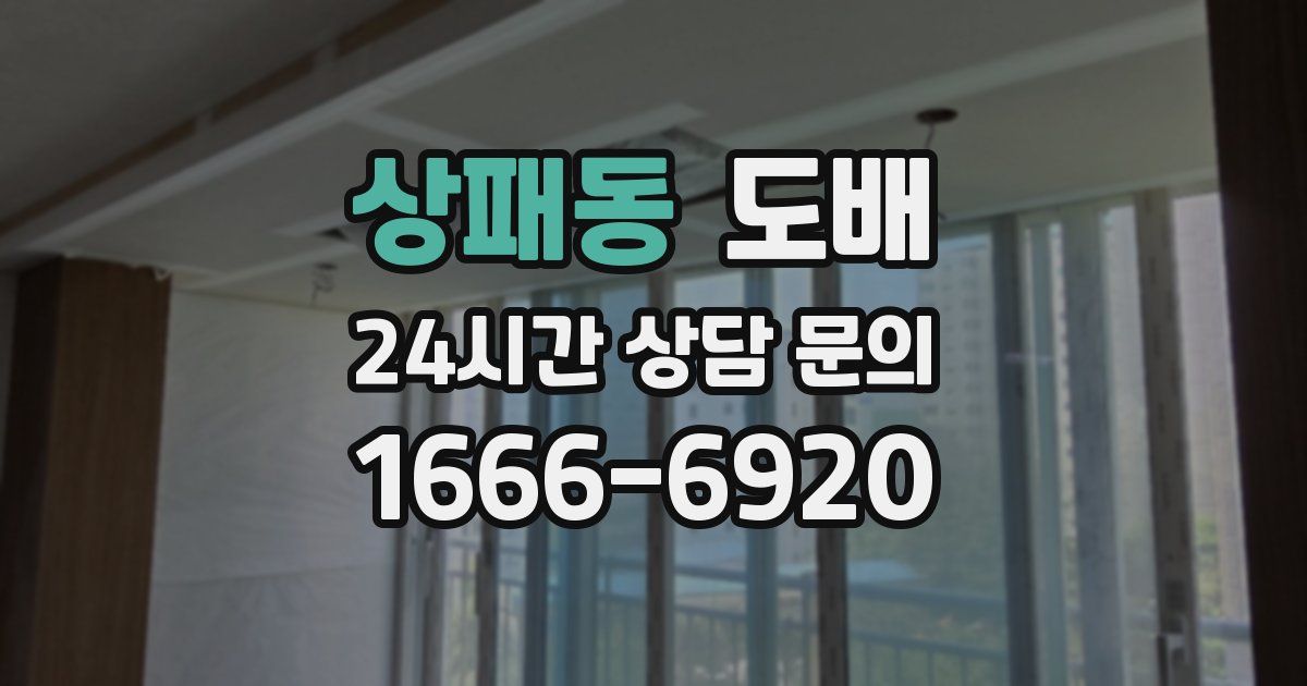상패동 도배