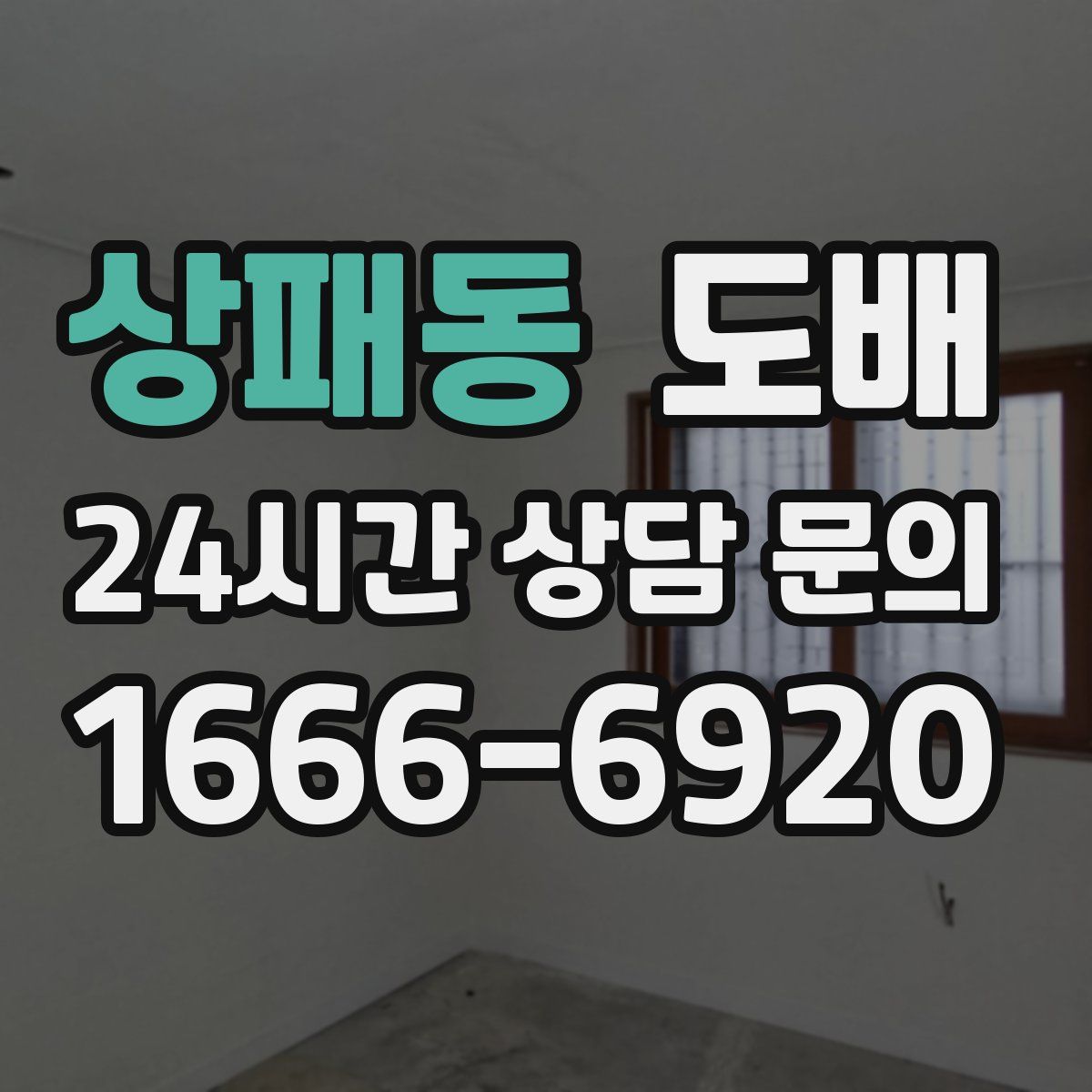 상패동 도배