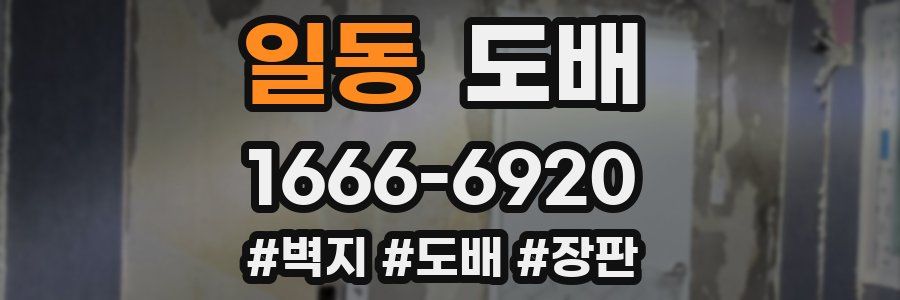 일동 도배