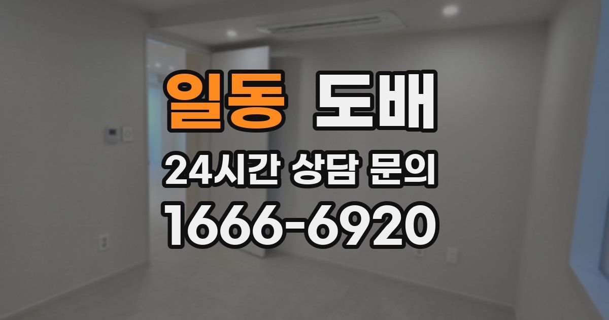 일동 도배