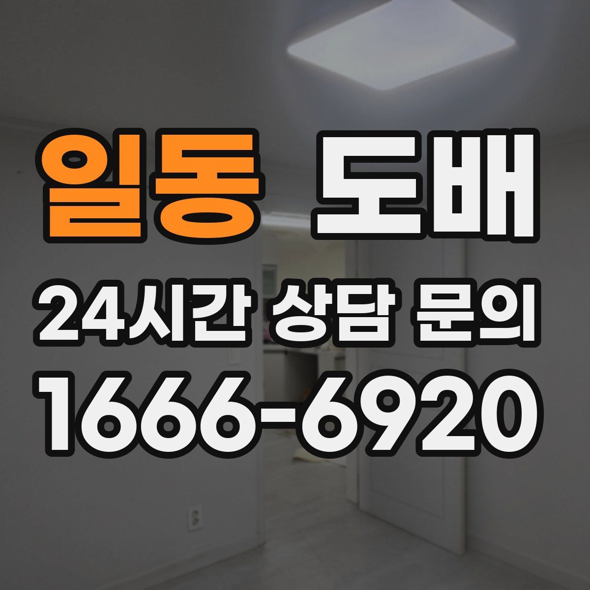 일동 도배