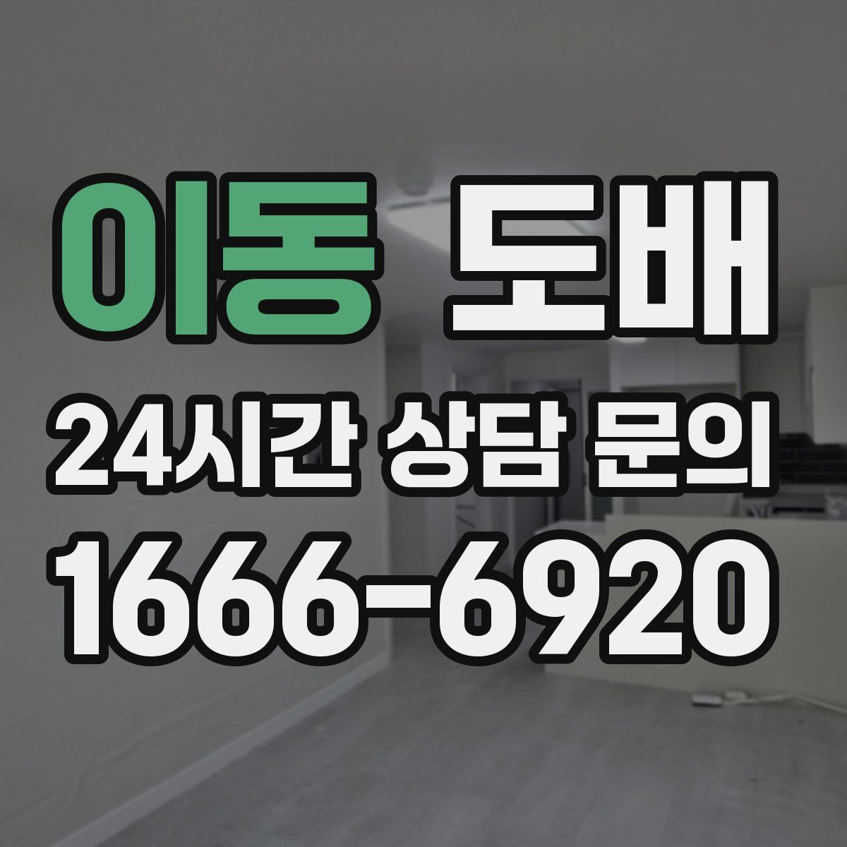 이동 도배