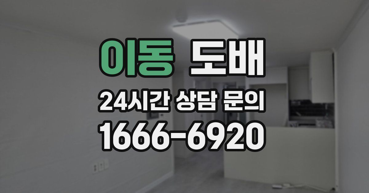 이동 도배