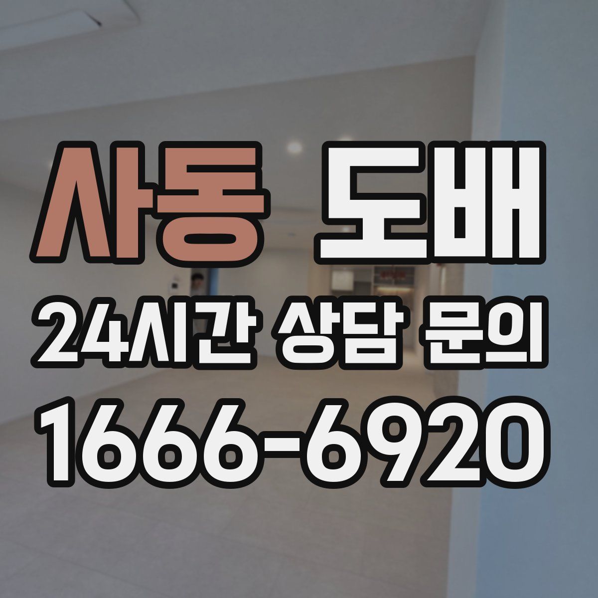 사동 도배