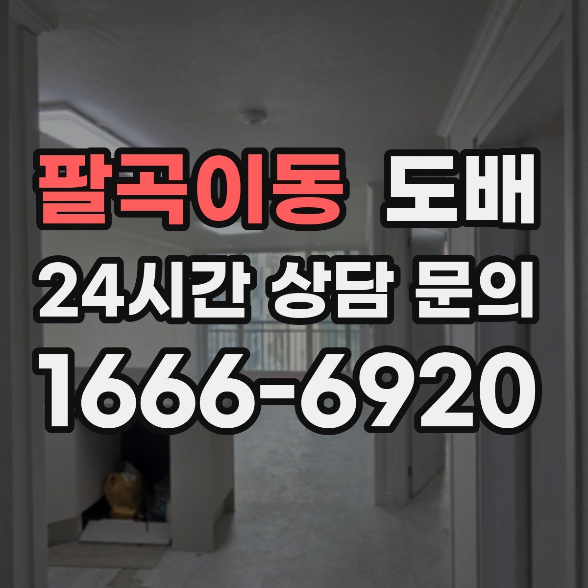 팔곡이동 도배