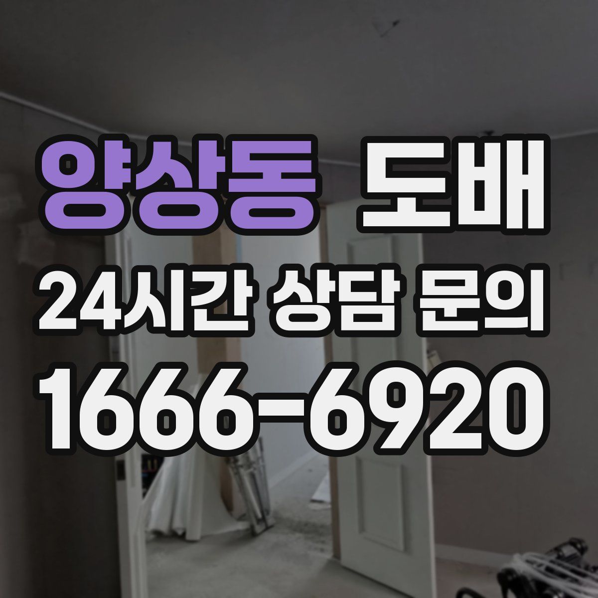양상동 도배