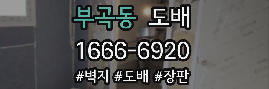 부곡동 도배