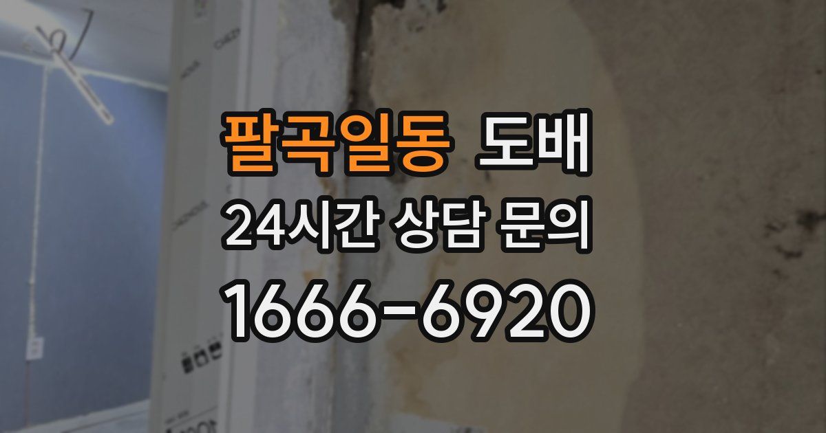 팔곡일동 도배