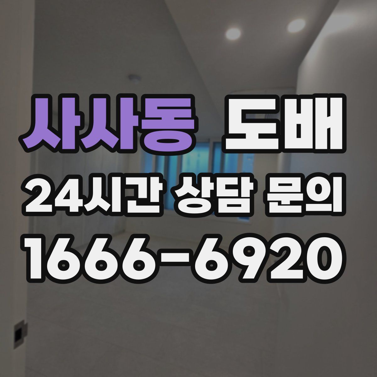 사사동 도배
