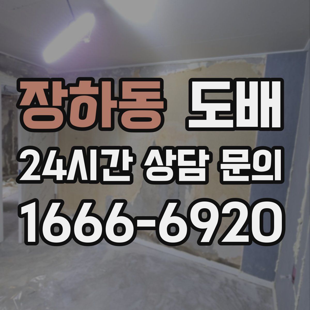 장하동 도배