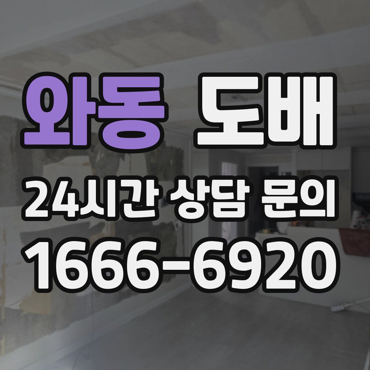와동 도배