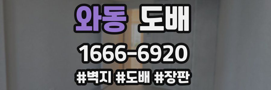 와동 도배