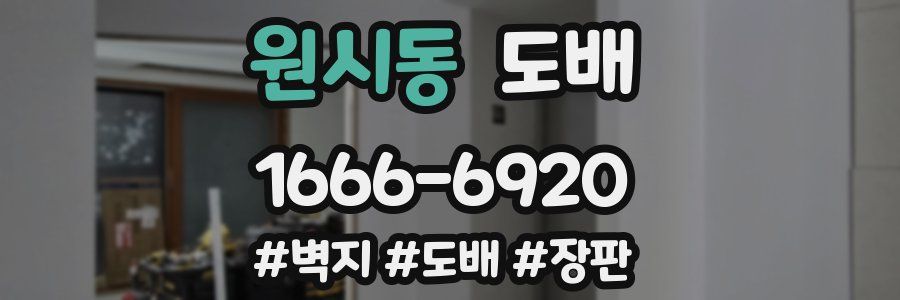 원시동 도배