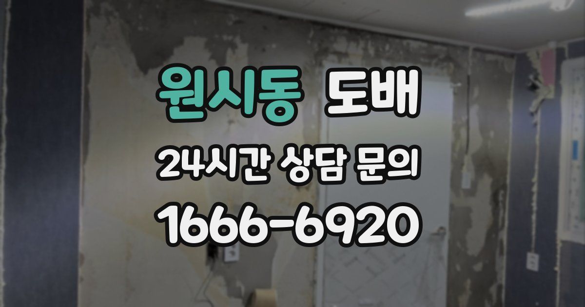 원시동 도배