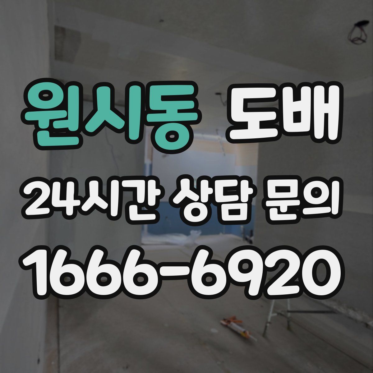 원시동 도배
