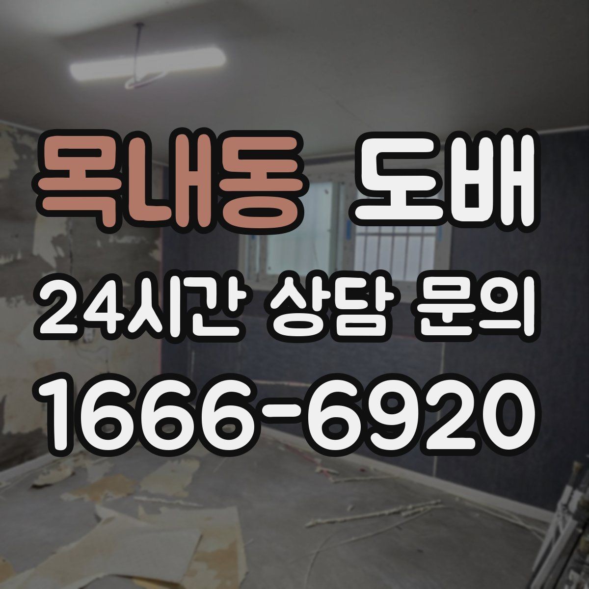 목내동 도배 업체 후기 볼 때 체크해야 할 부분