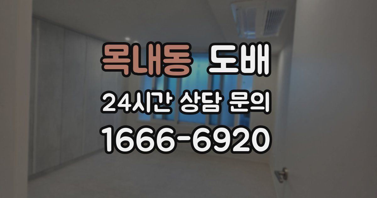 목내동 도배
