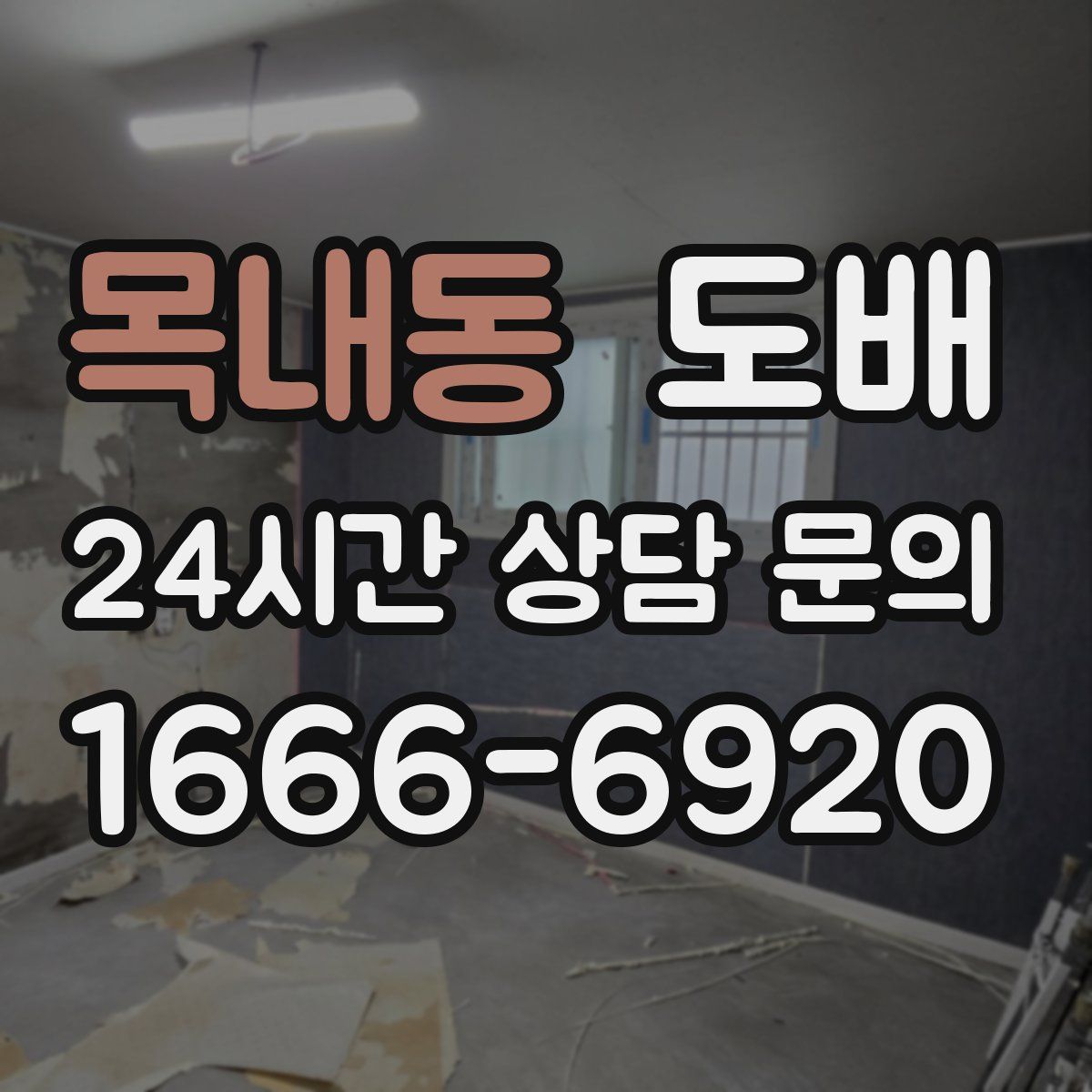 목내동 도배