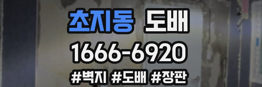 초지동 도배