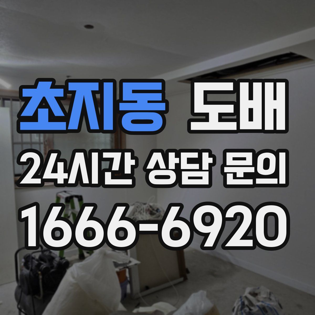 초지동 도배