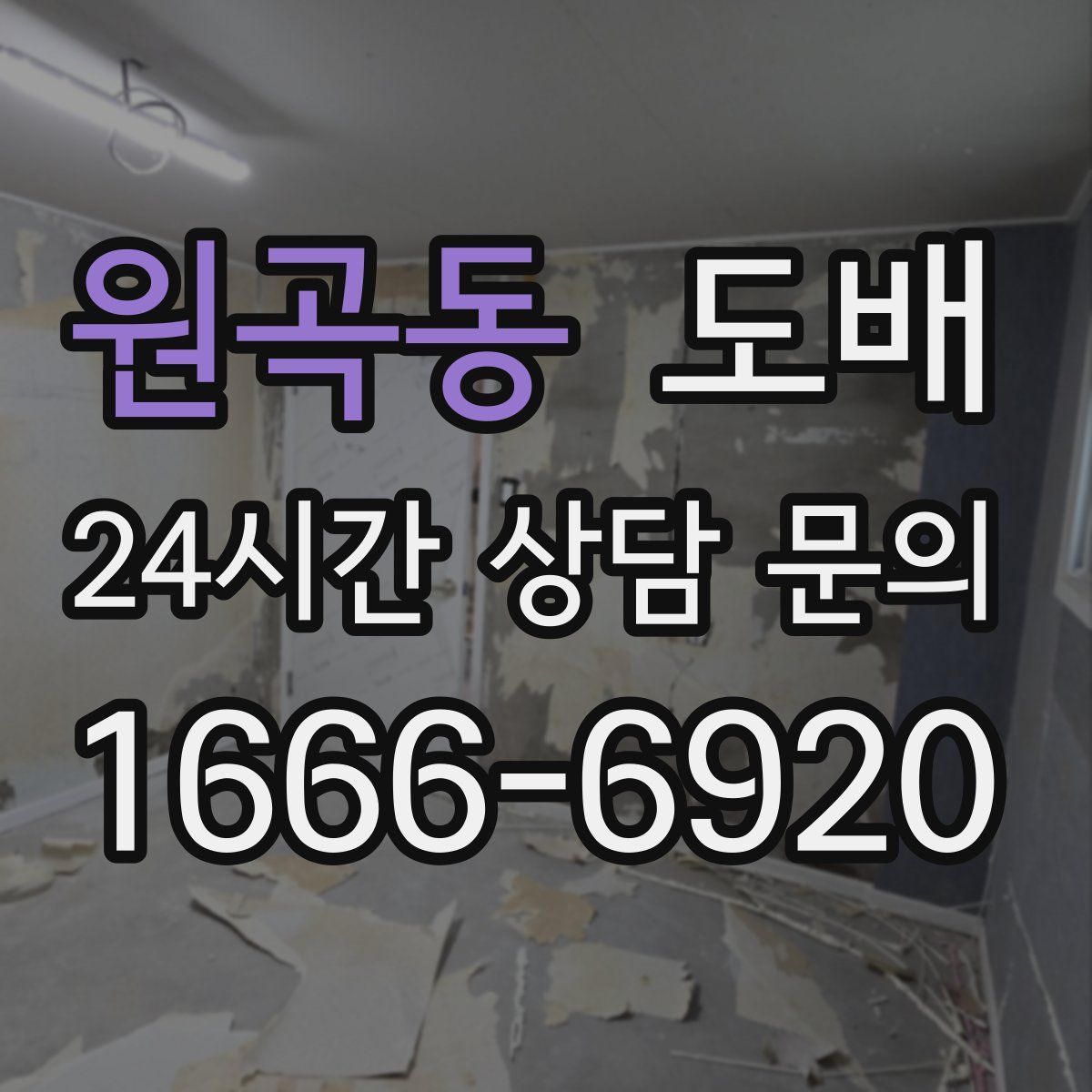 원곡동 도배