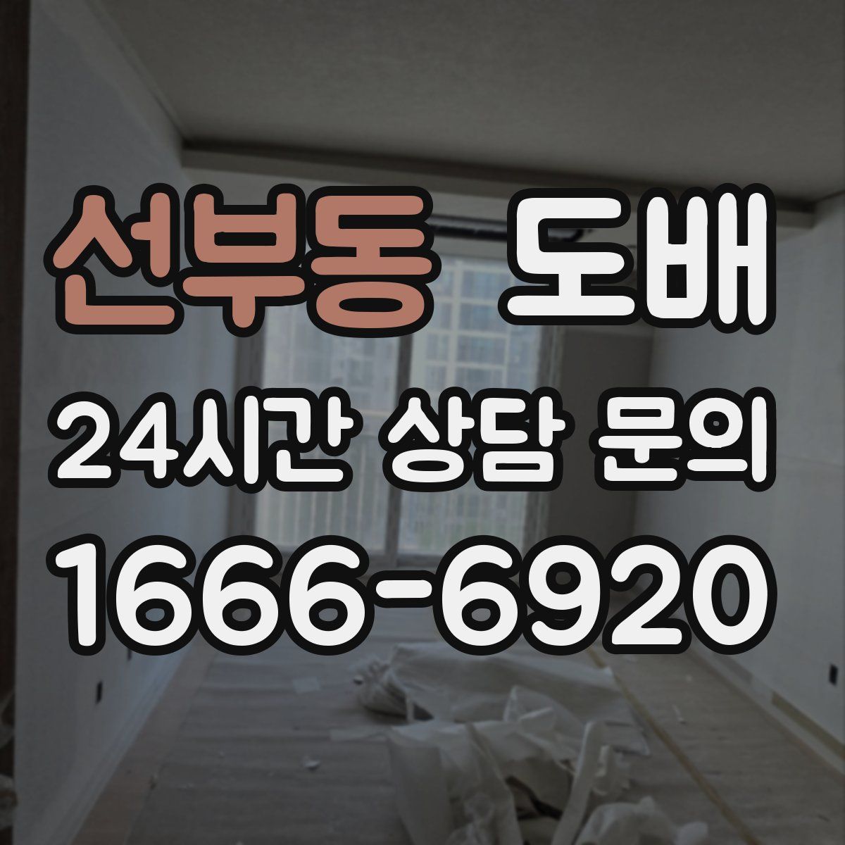 선부동 도배