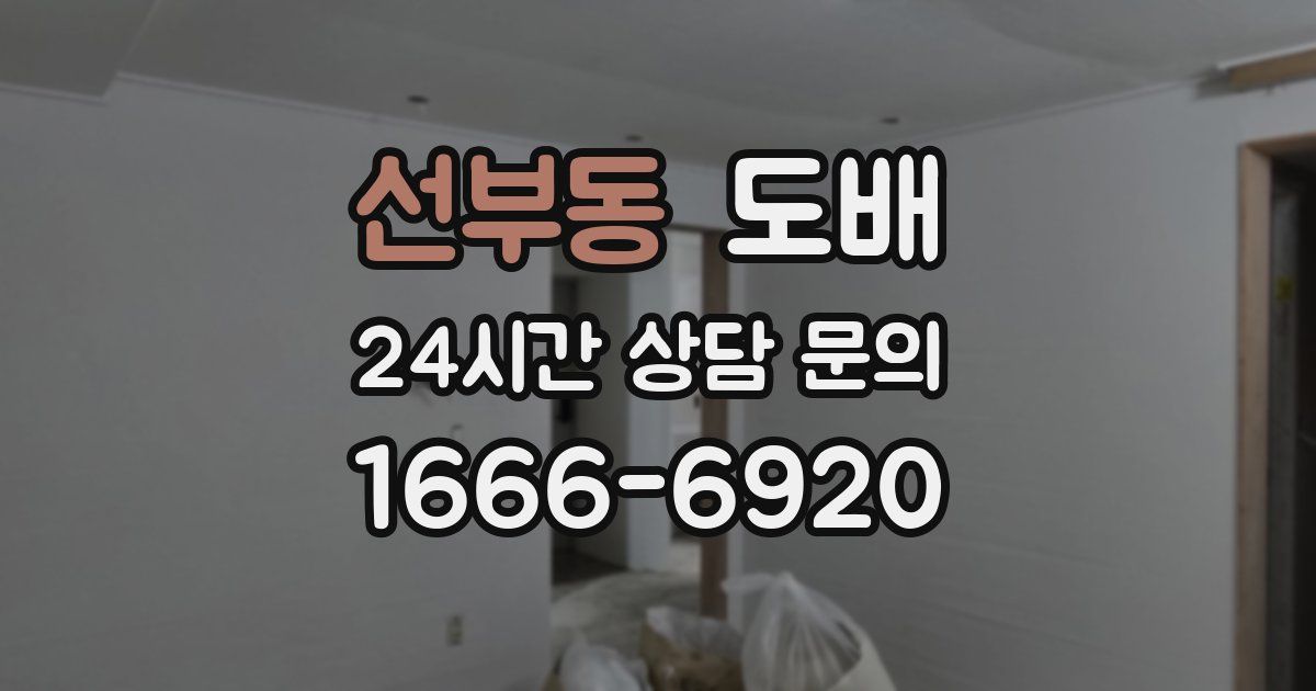 선부동 도배