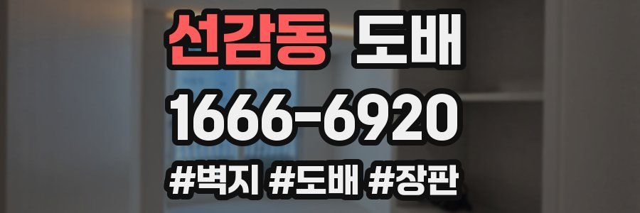 선감동 도배