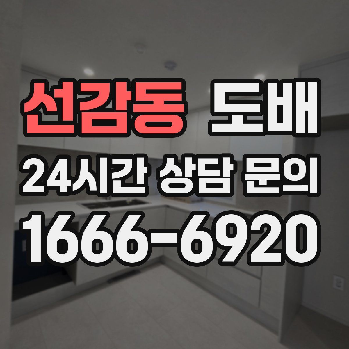 선감동 도배