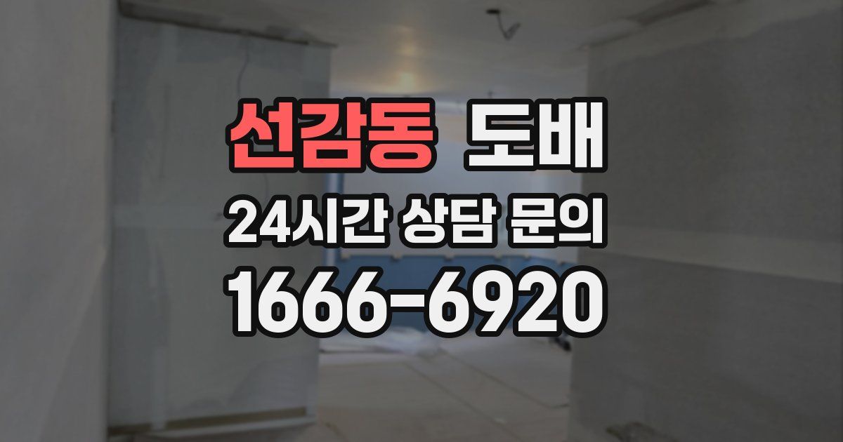 선감동 도배