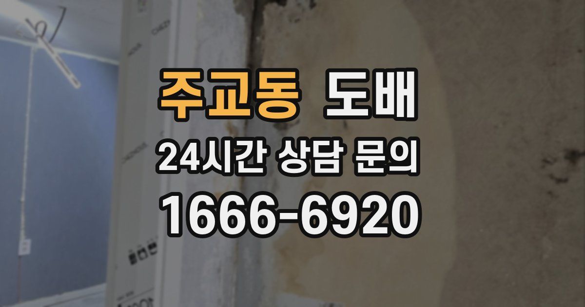 주교동 도배