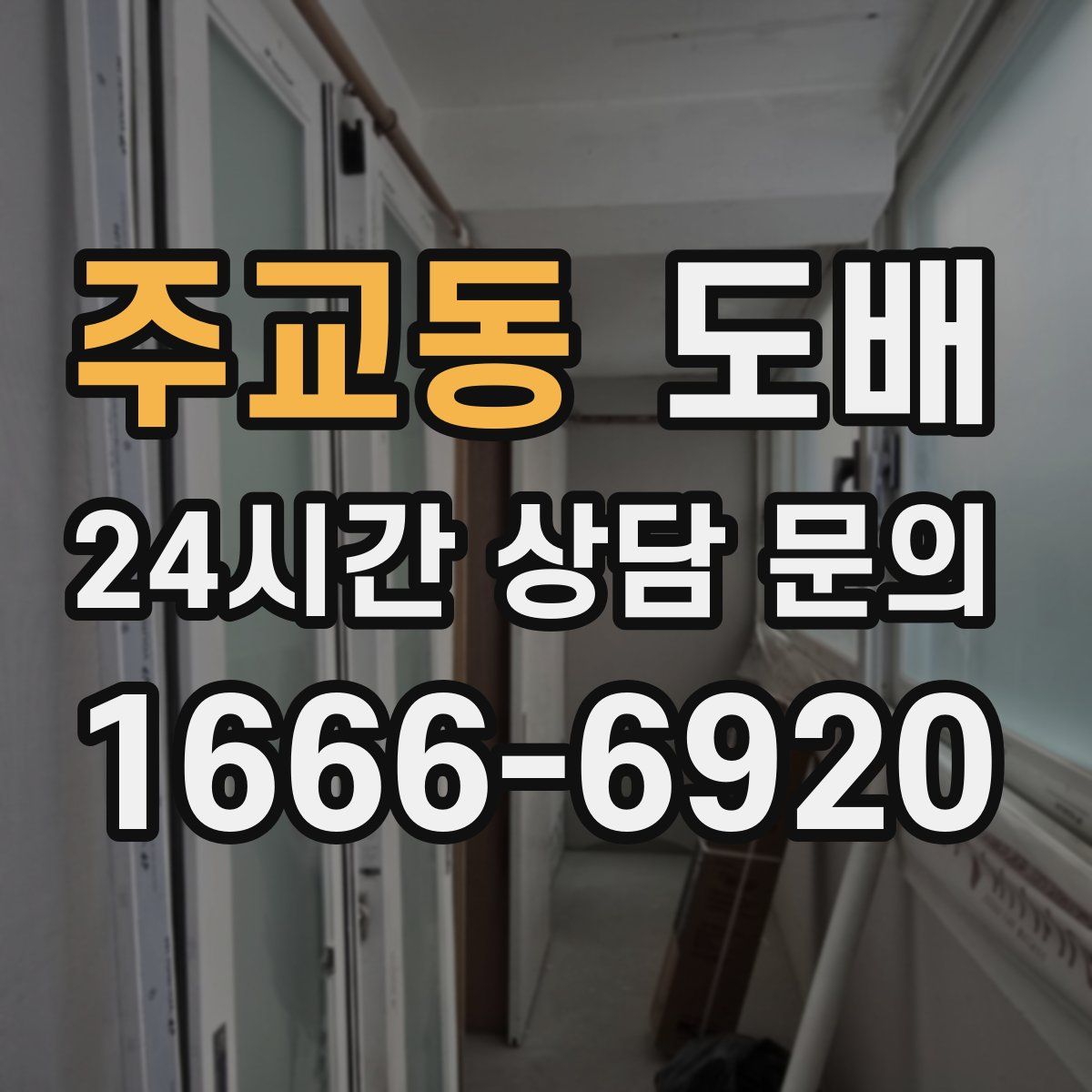 주교동 도배