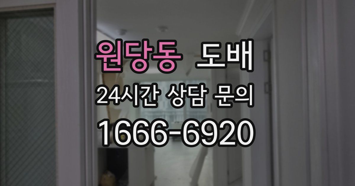 원당동 도배