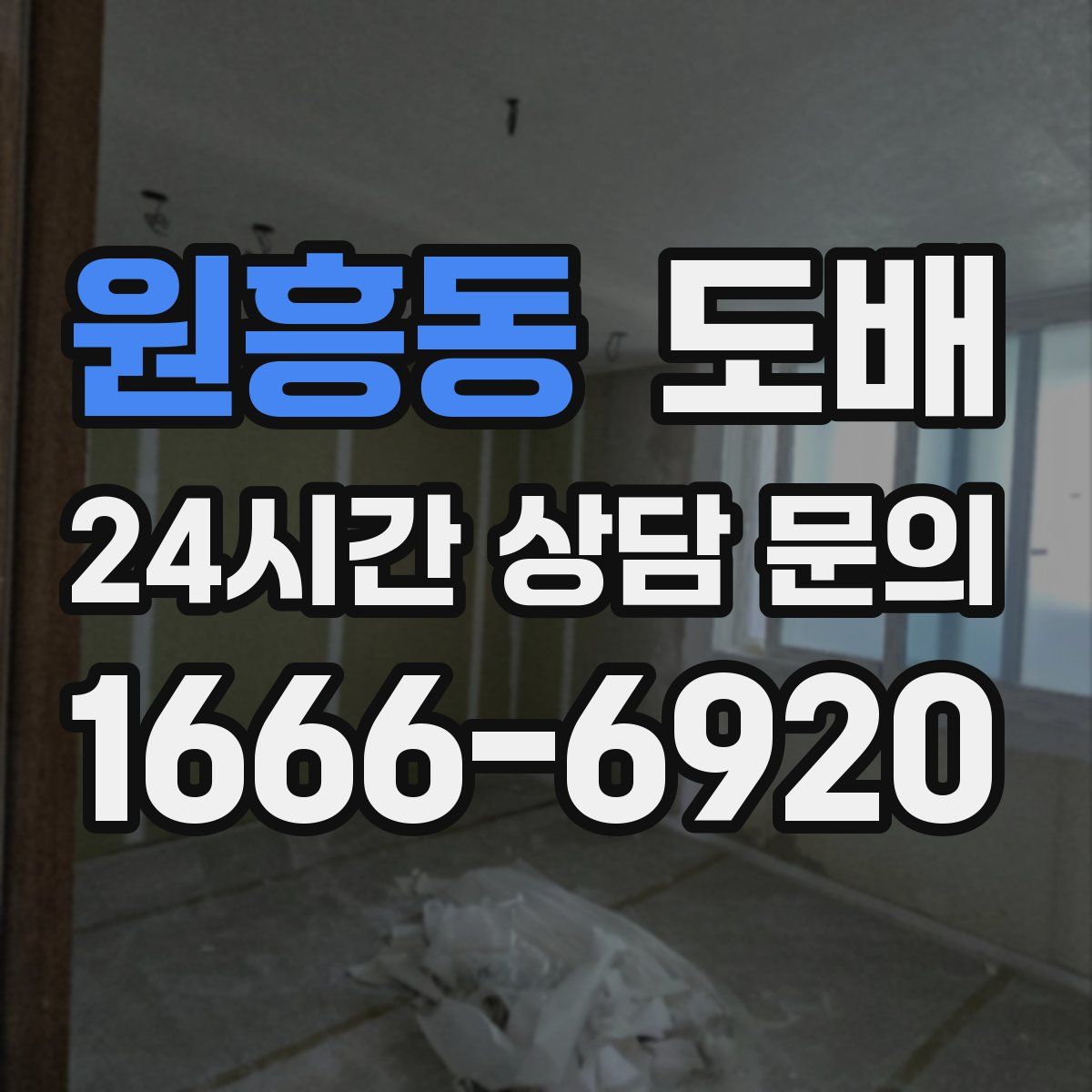 원흥동 도배