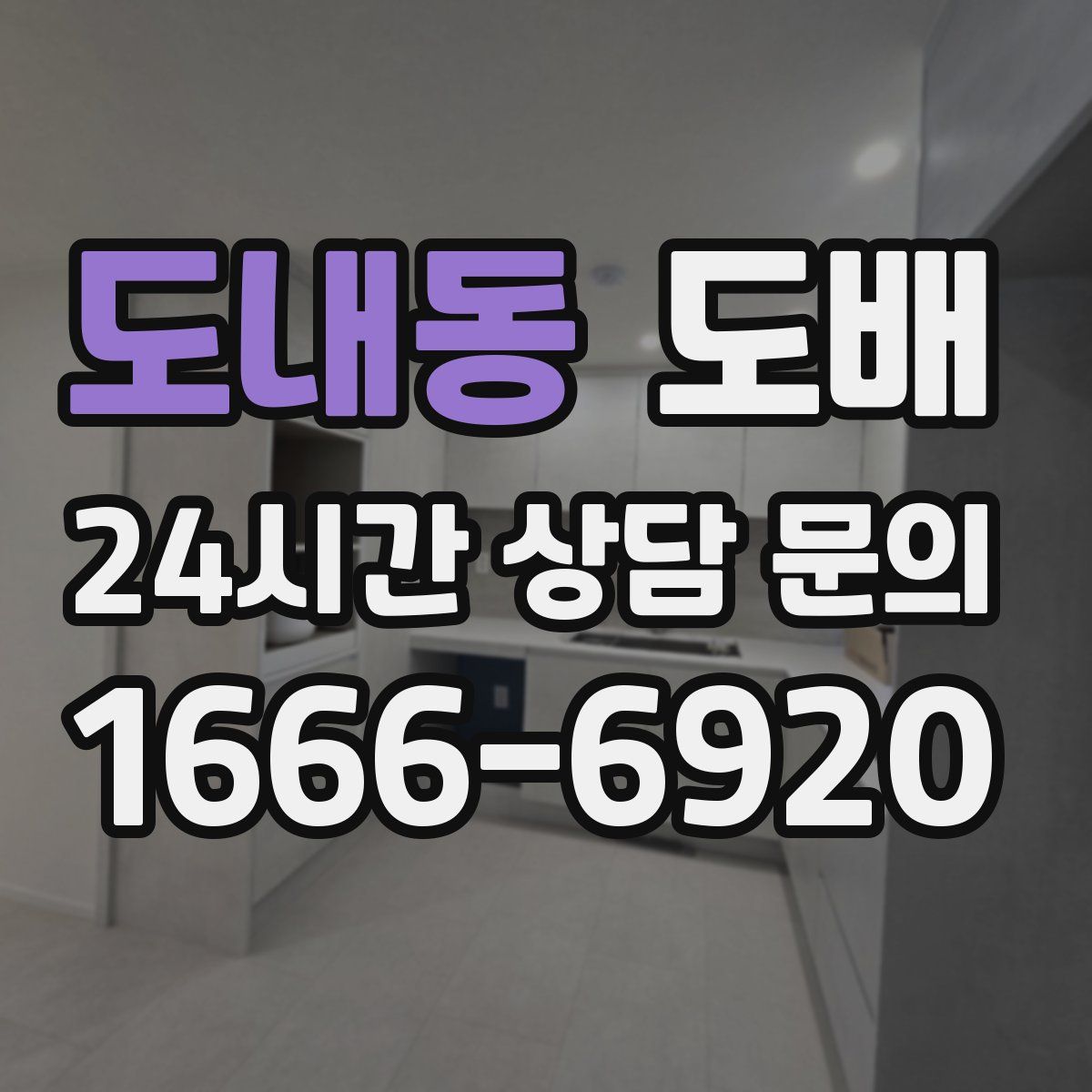 도내동 도배