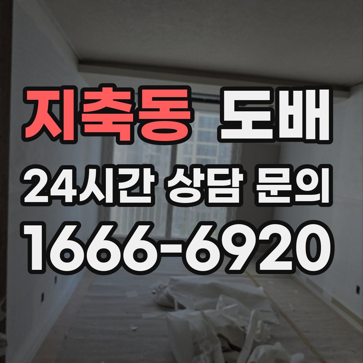 지축동 도배