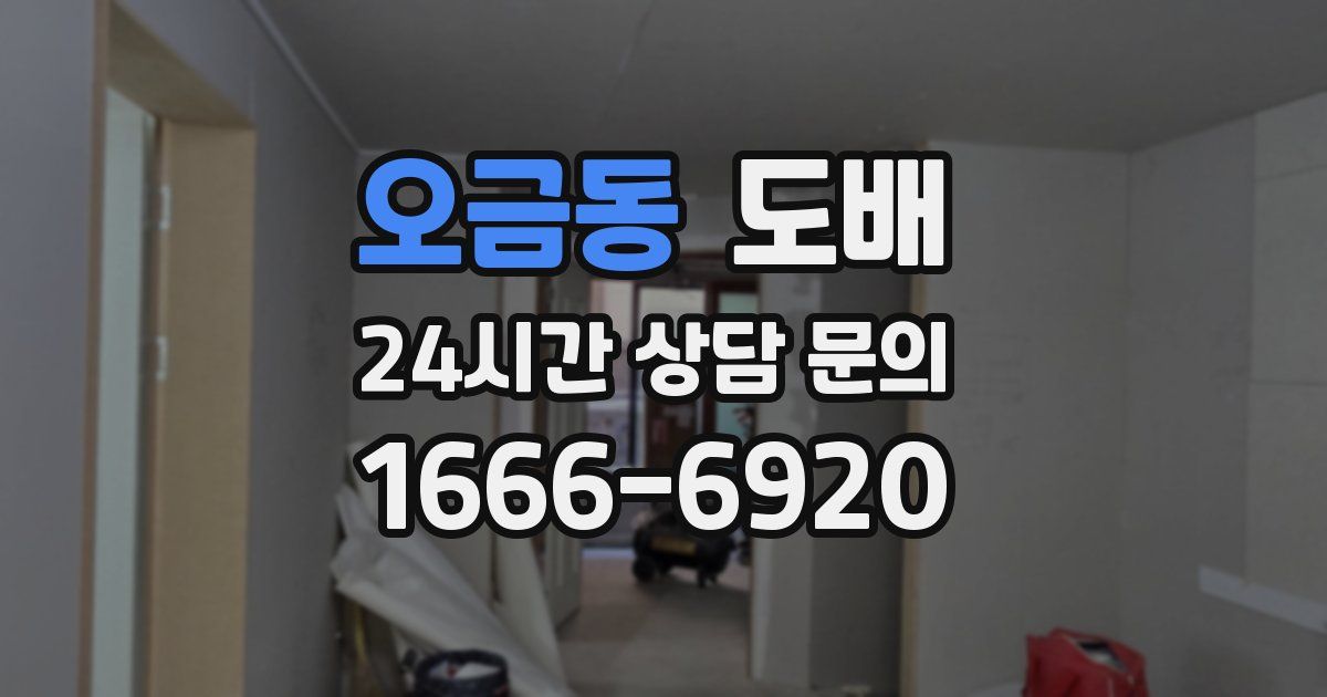 오금동 도배