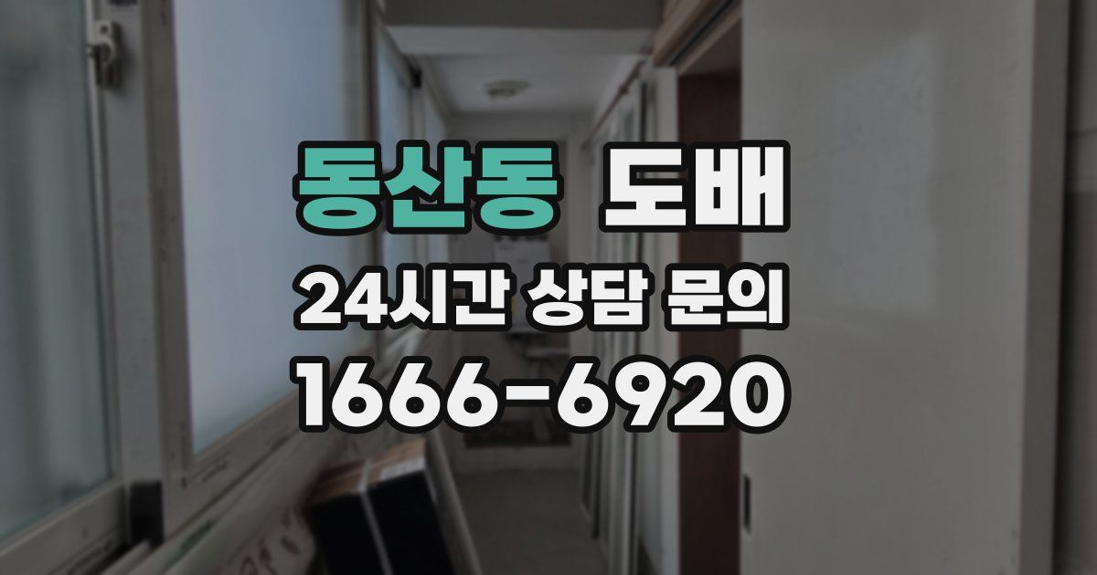 동산동 도배