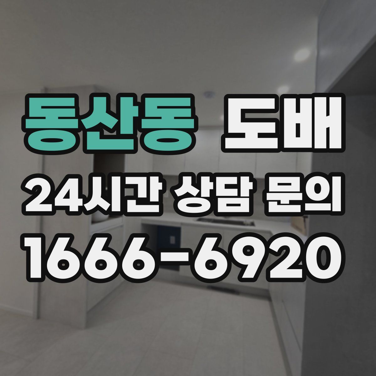 동산동 도배
