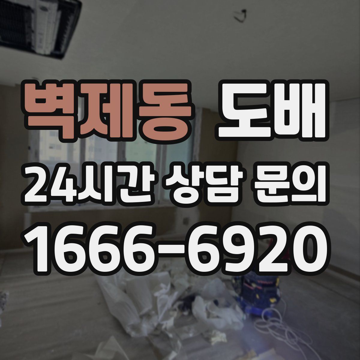 벽제동 도배