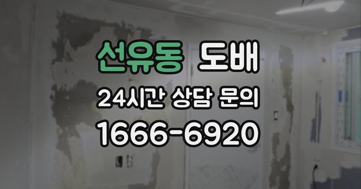 선유동 도배