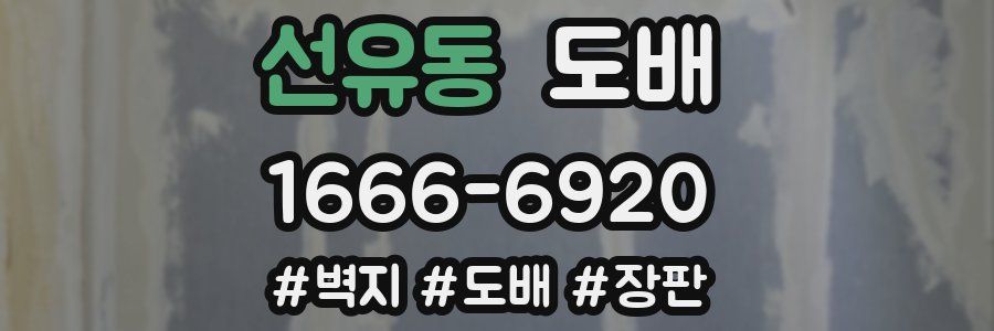 선유동 도배