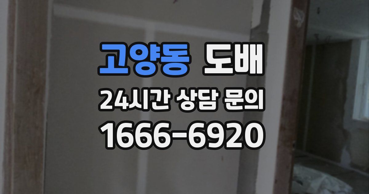 고양동 도배