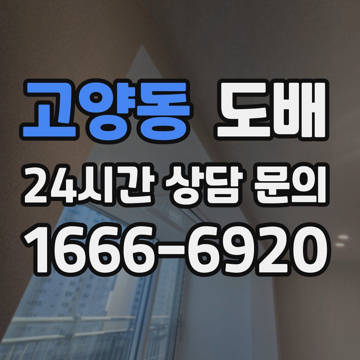 고양동 도배