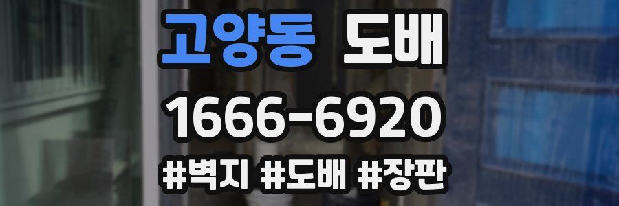 고양동 도배