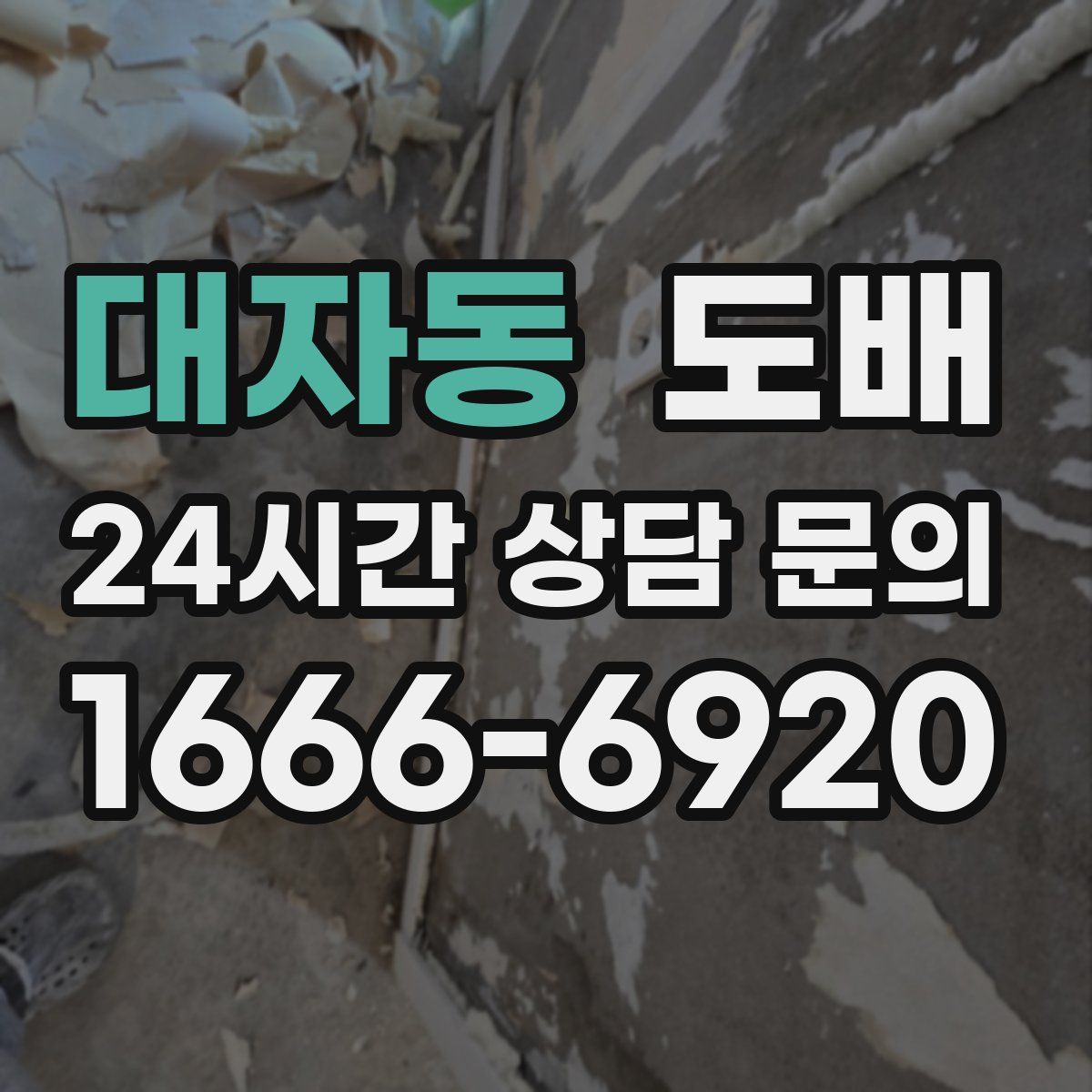 대자동 도배