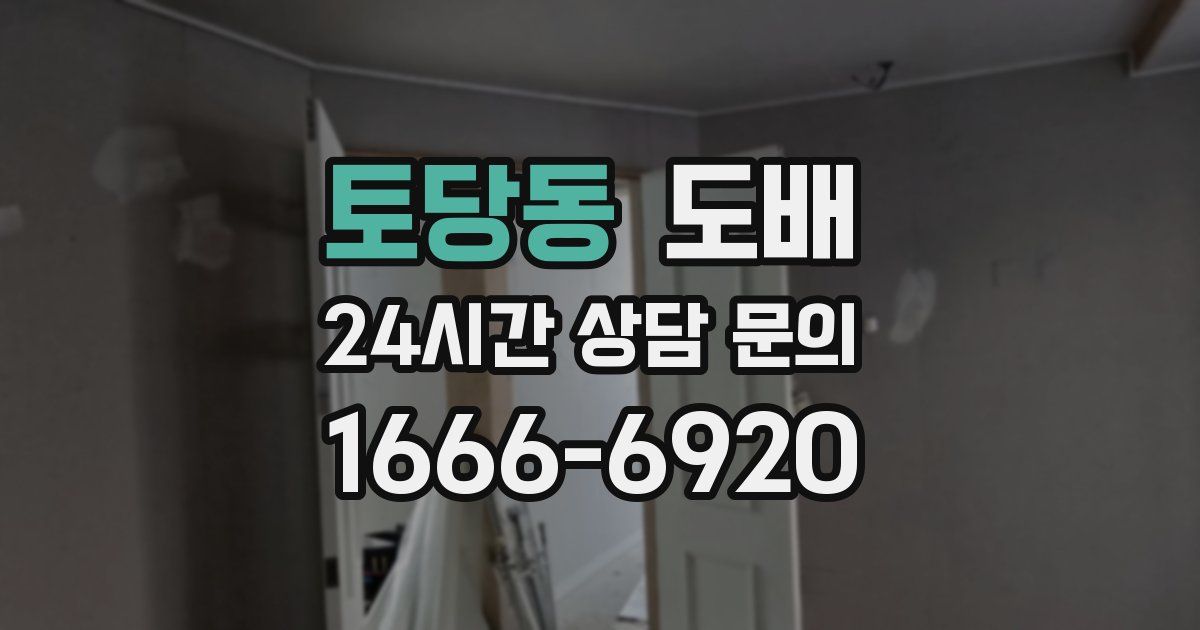 토당동 도배