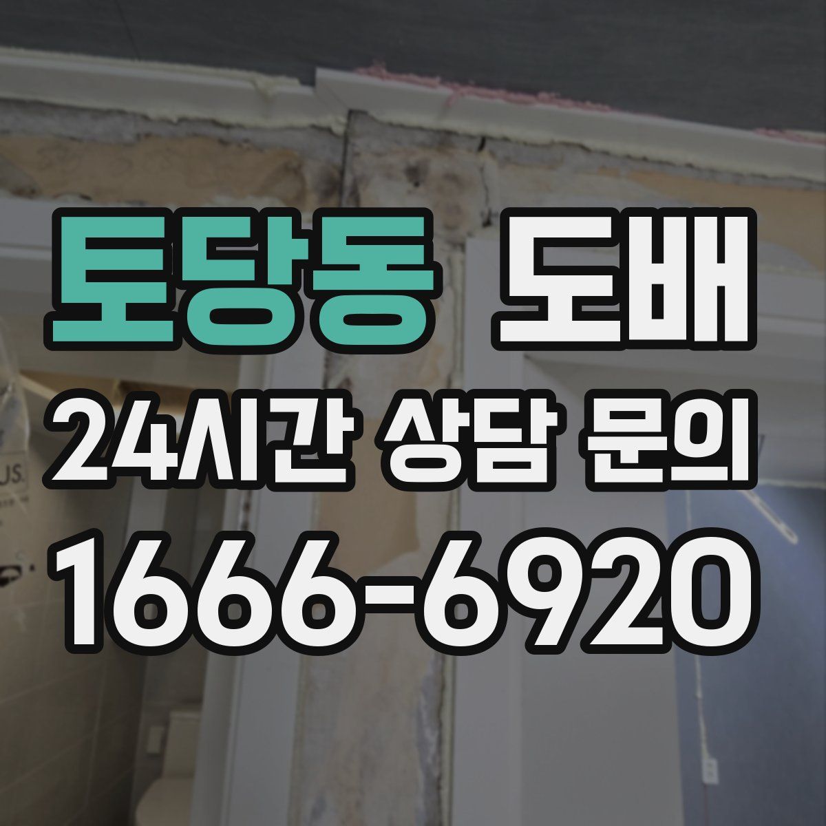 토당동 도배
