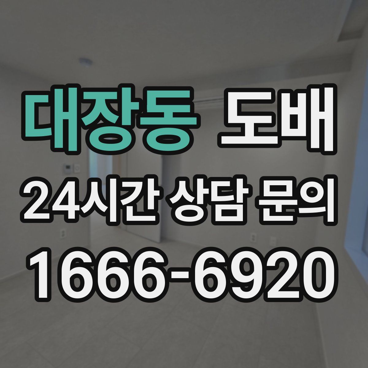 대장동 도배