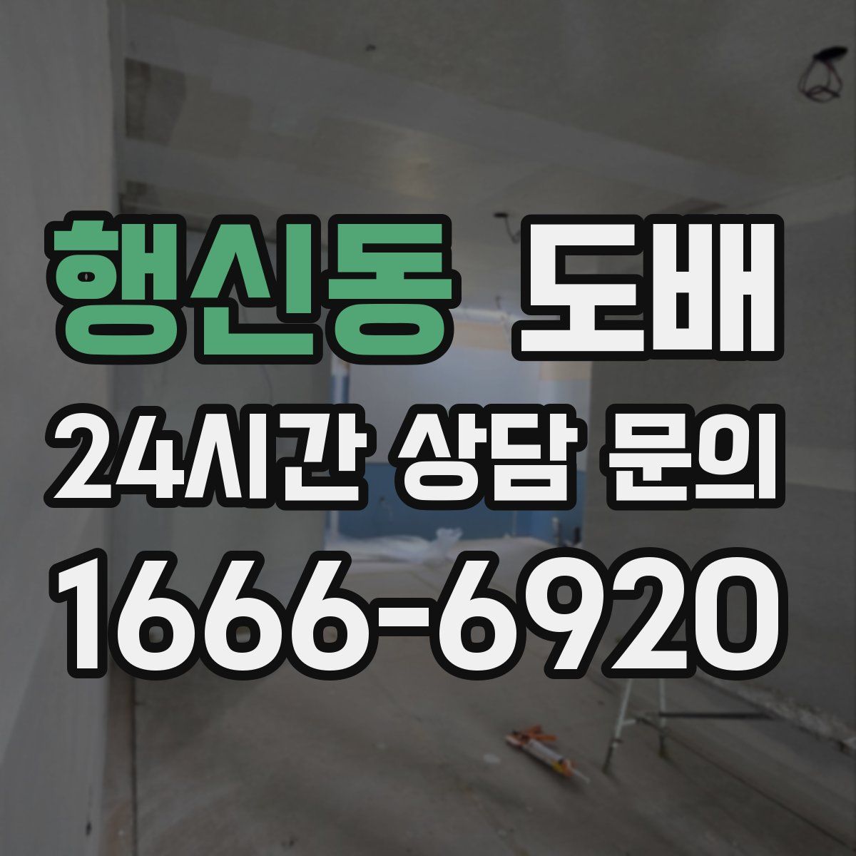행신동 도배